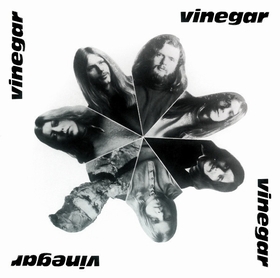 VINEGAR - Vinegar